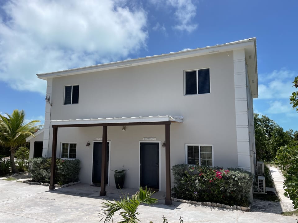 Front Elevation of Hawksbill and Leatherback. 