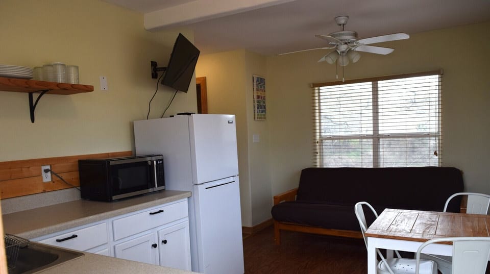 Living area and Kitchenette
