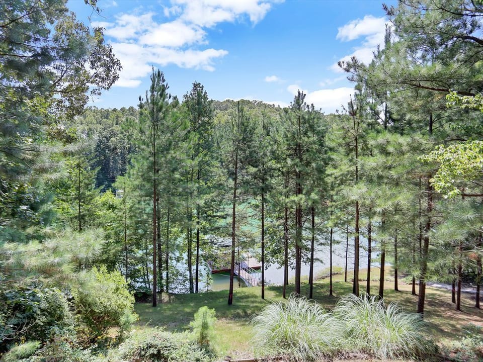 View from Deck - Summer