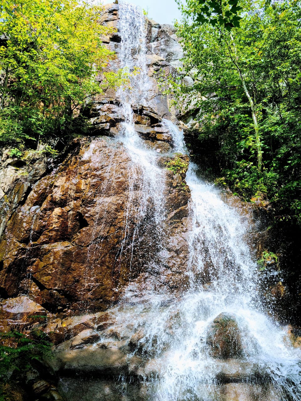 60ft waterfal on Le Plateau project...walking distance from our condo