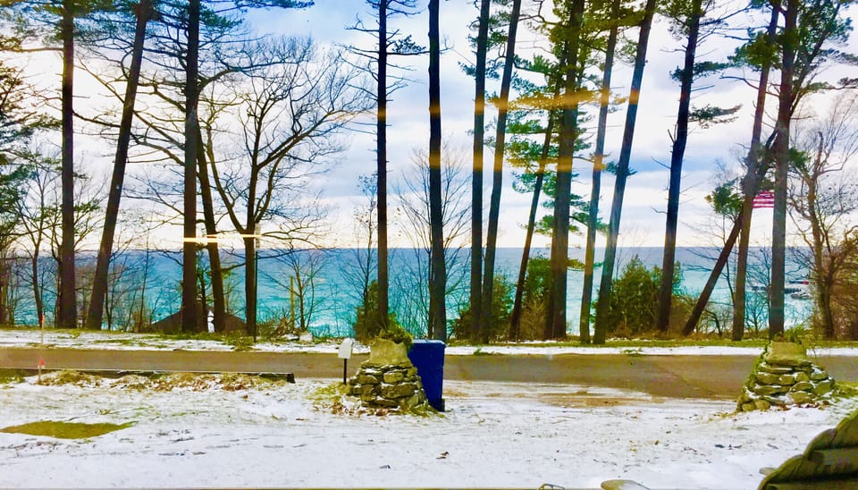 Front Window View
