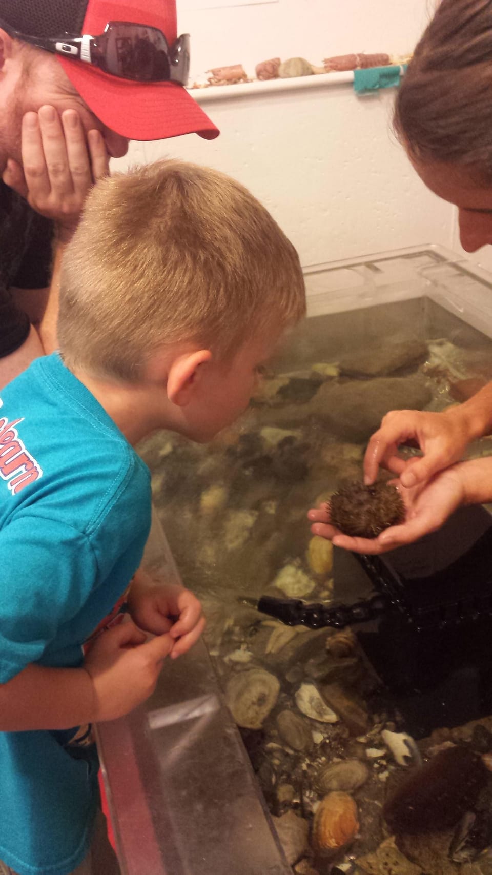 Children's Museum in Rockland w/ touch tank. 15 - 20 minutes from cottage. zx