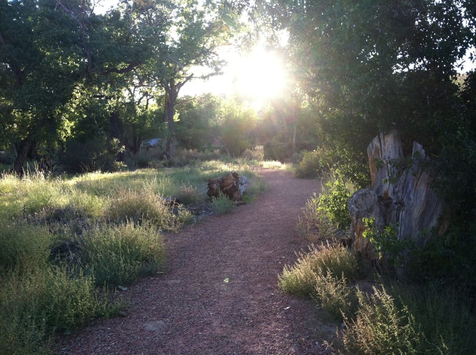 bike/walking trail behind house