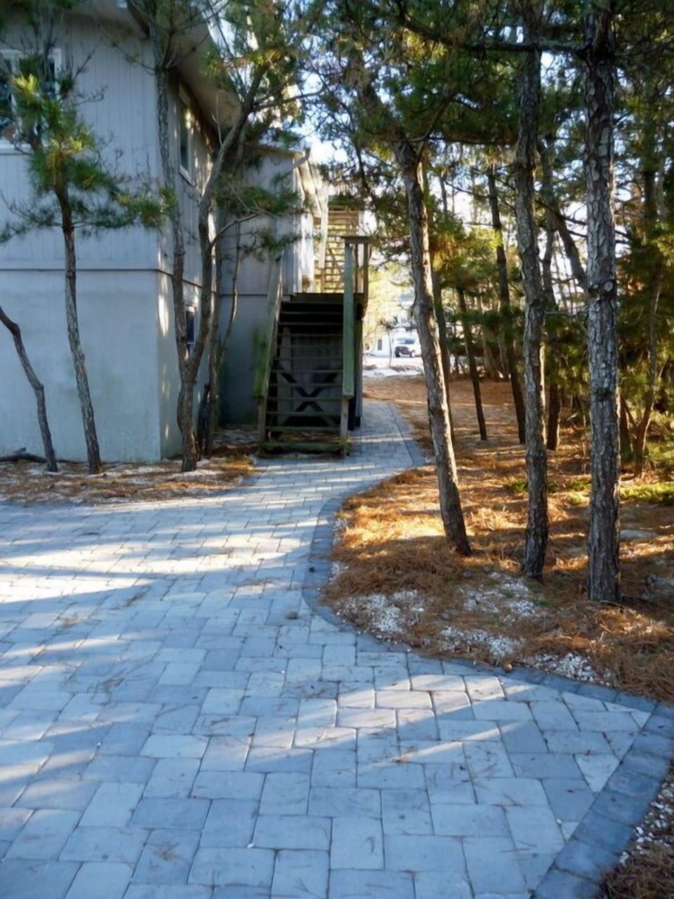 Paved walkway to shower and ground floor entrance: south view