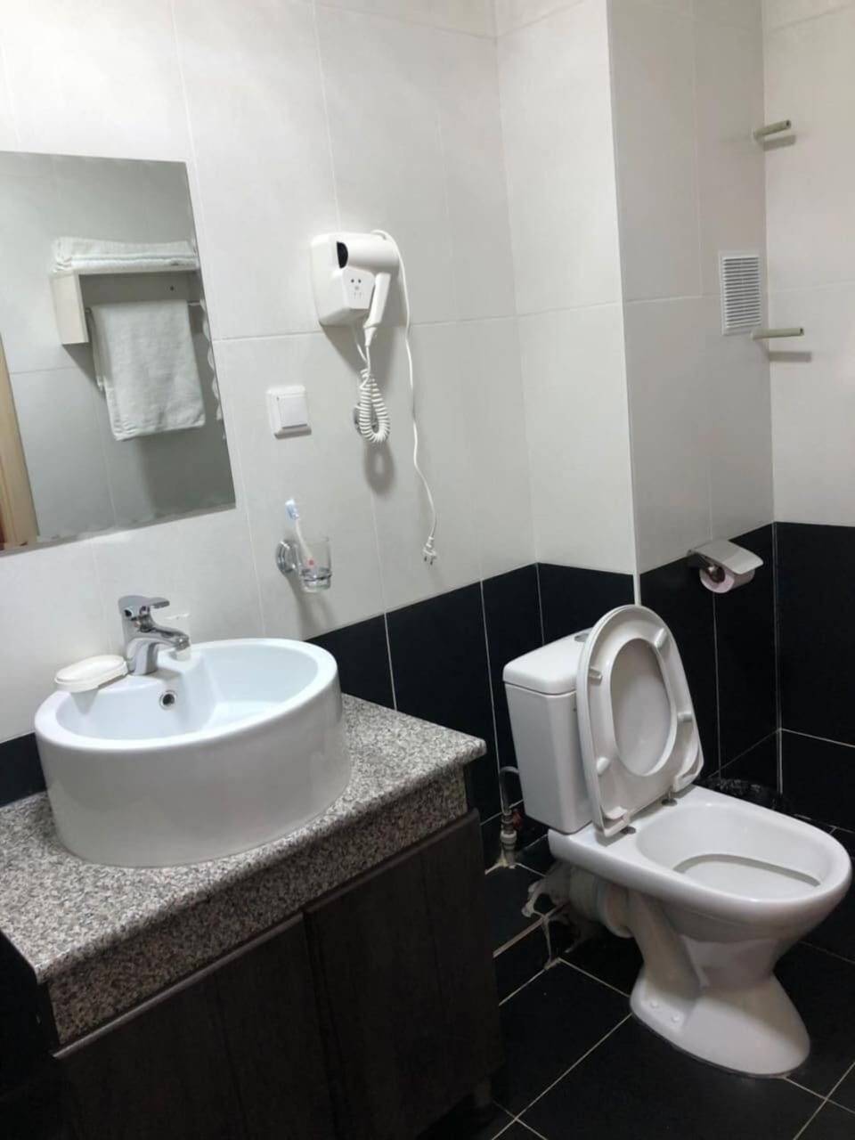Free toiletries, hair dryer, slippers, towels