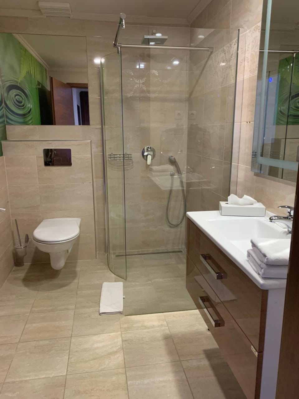 Shower, hair dryer, bathrobes, towels