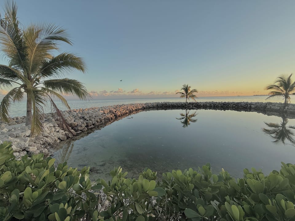 Tidal pool, reflections at dusk.