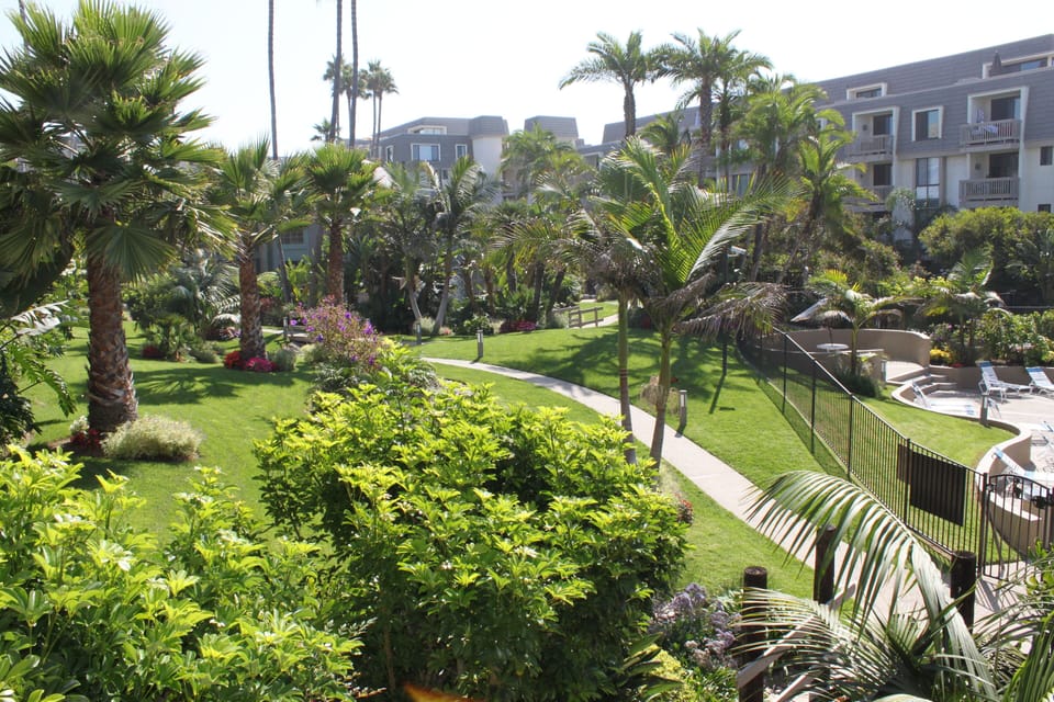 Lush Grounds of Condo Complex
