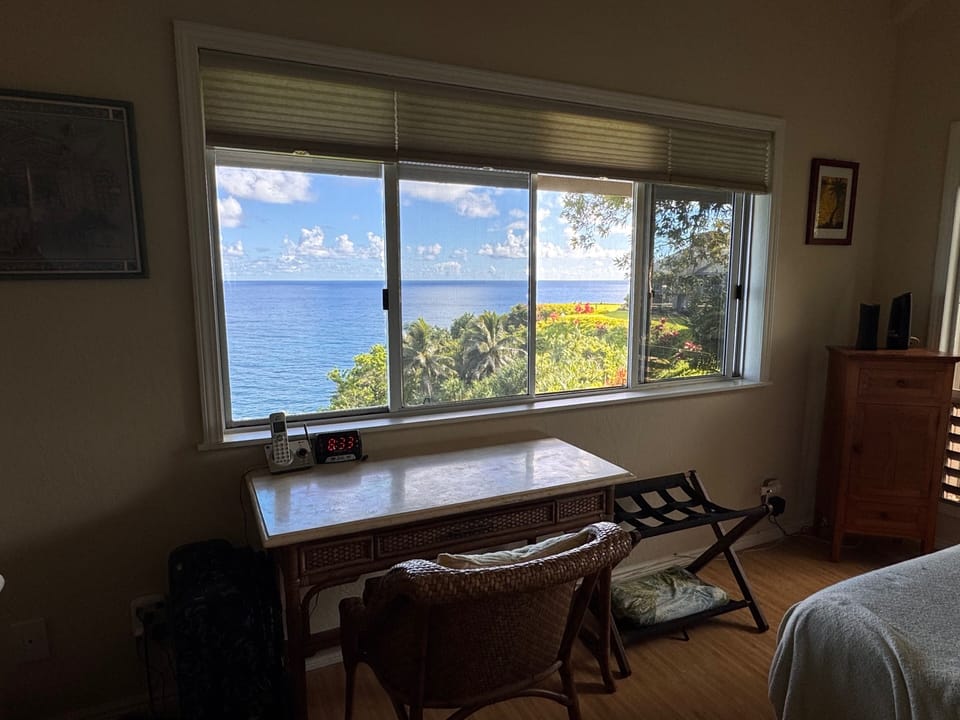 Master bedroom window