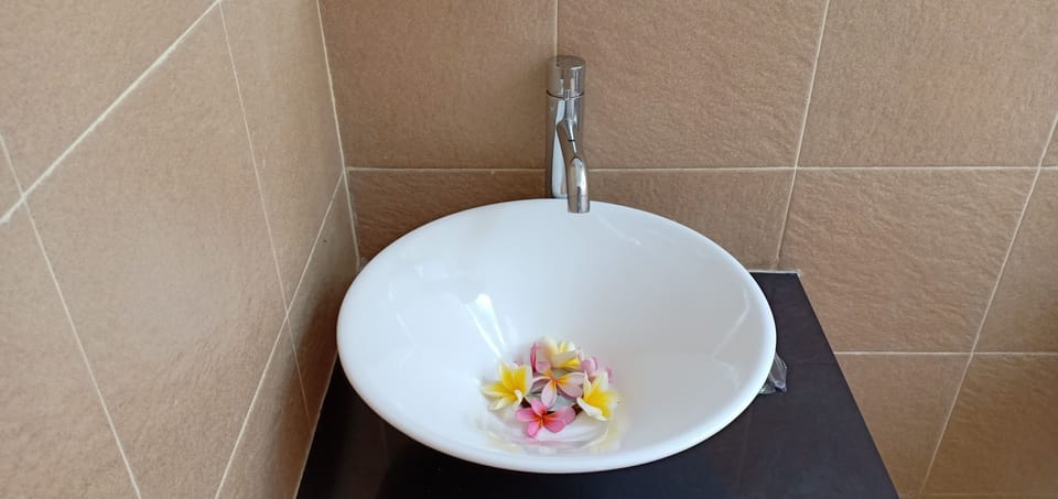Bathroom sink
