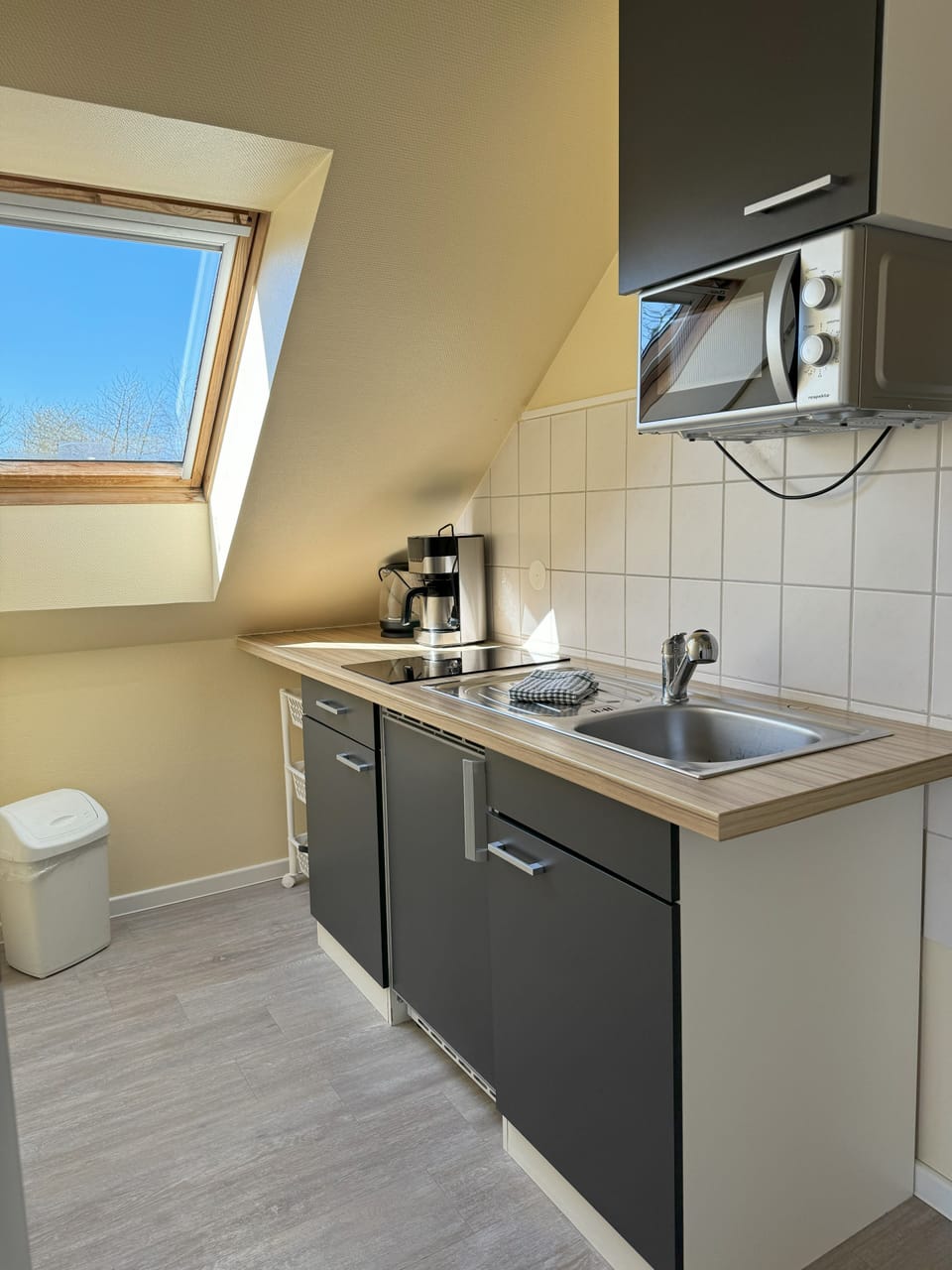 Apartment (First Floor) | Private kitchen | Stovetop