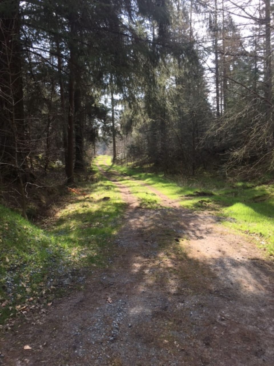 Hiking