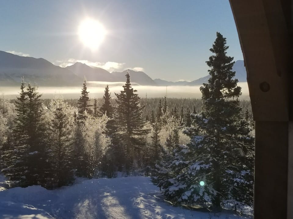 View from dining room table. 