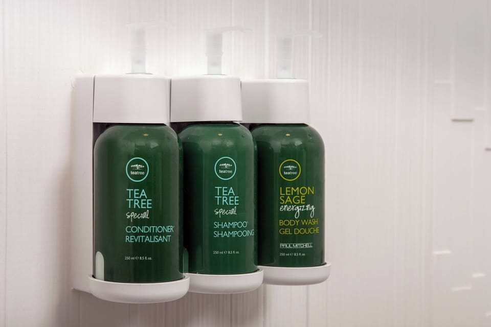 Hydromassage showerhead, free toiletries, hair dryer, towels