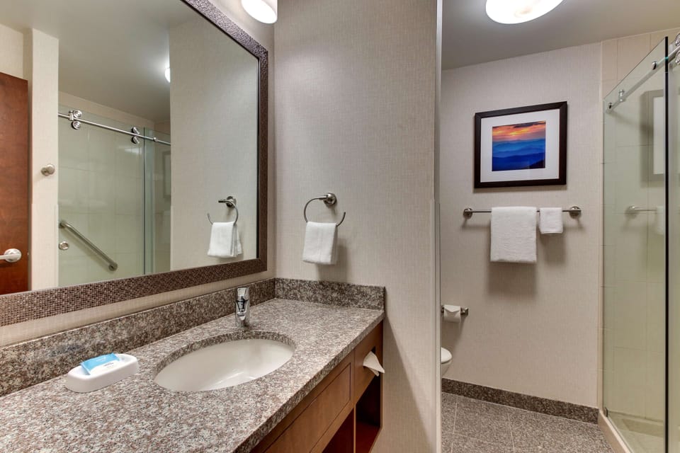 Hair dryer, towels