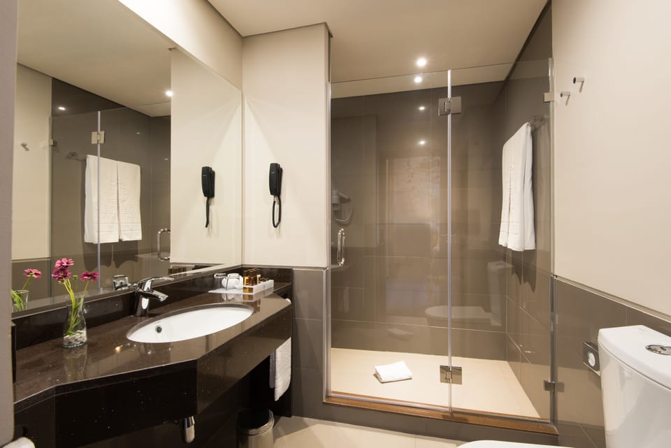 Shower, free toiletries, hair dryer, bathrobes