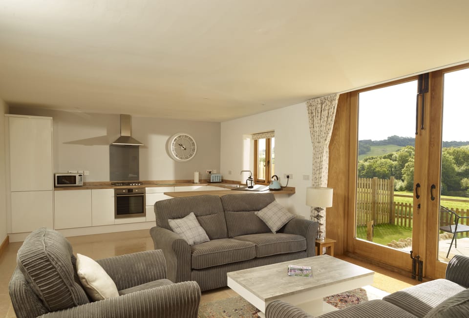 Lower ground floor: Large open-plan kitchen, dining and sitting room