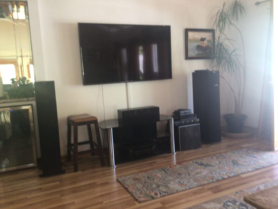 65 inch TV 