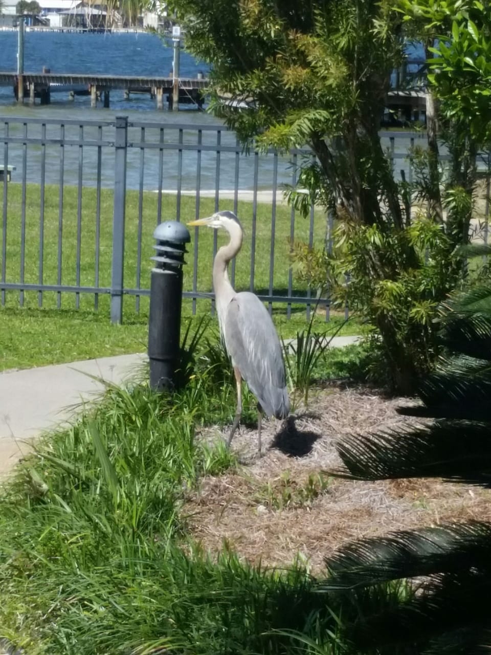 Property grounds
