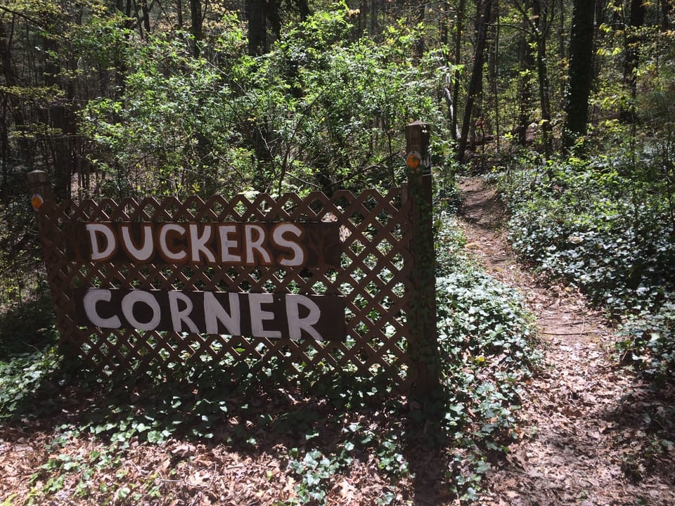 hiking trail  - trail is currently destroyed by Hurricane Helene, hope to reopen