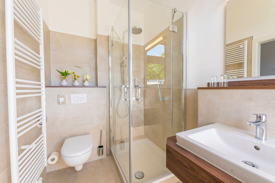 Shower, hair dryer, towels