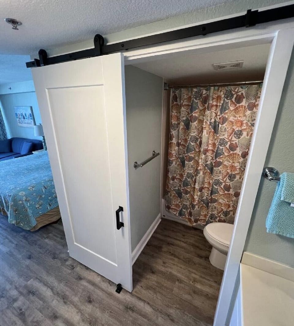 Barn Door bathroom