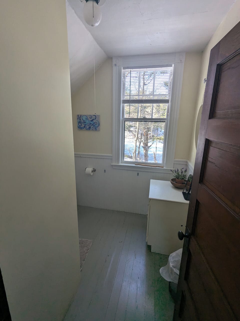 view of the pond from upstairs full bath