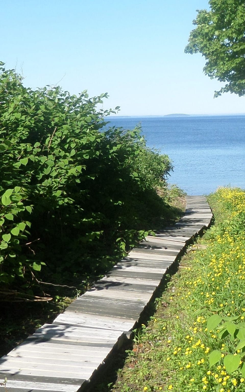 Walk to the bay from the backyard