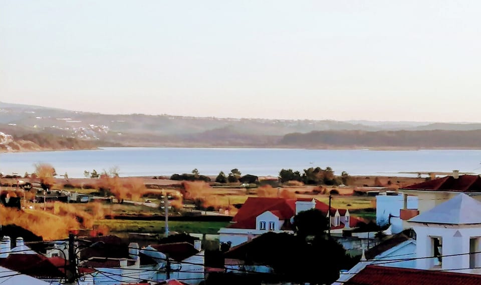 House view