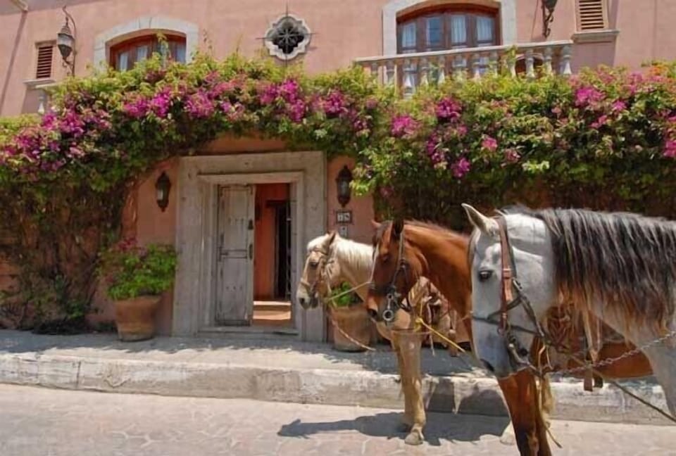 Horseback Riding 