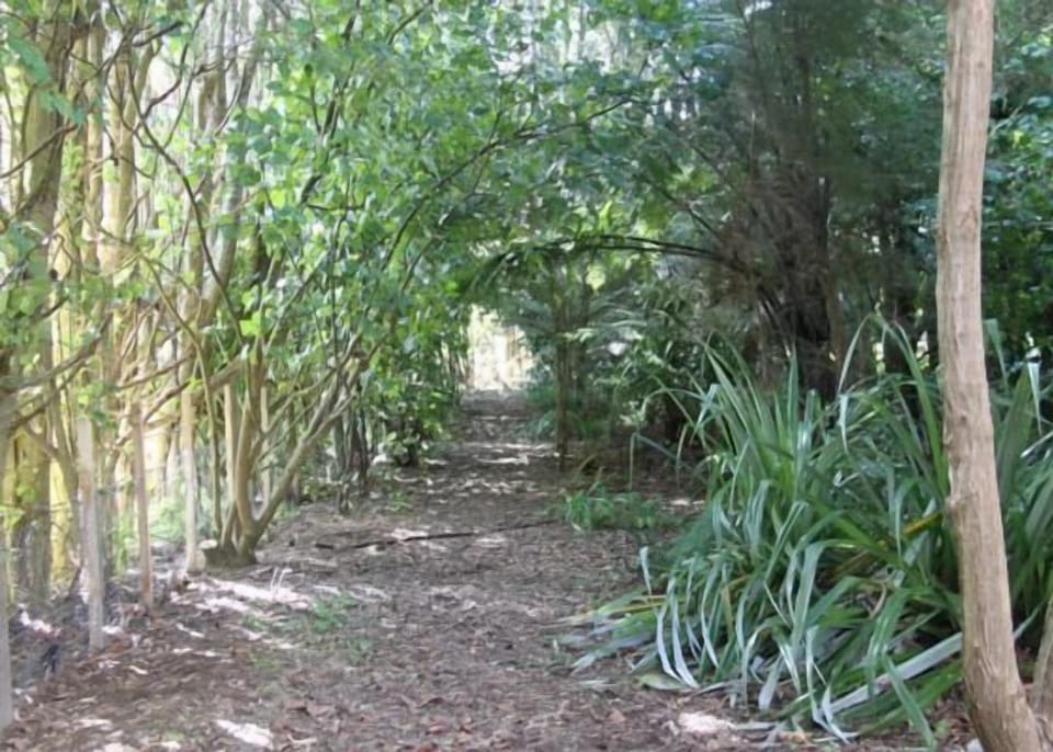 Take a walk around the arboretum