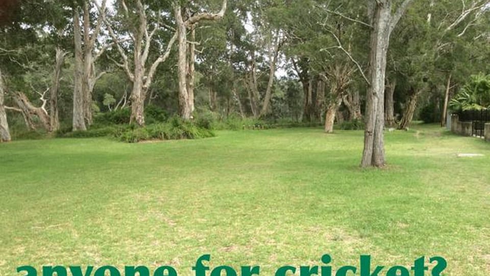 anyone for cricket?
