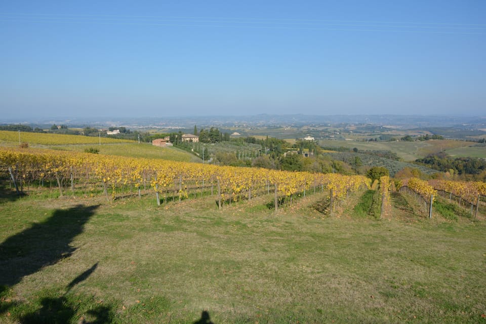 Tuscan countryside-vineyards near San Gimignano