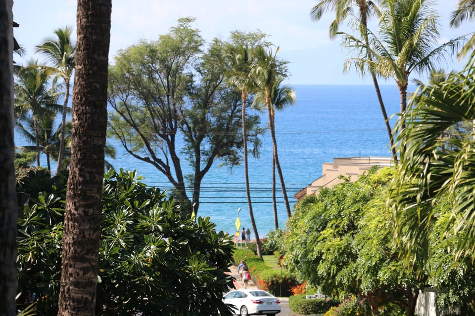 Ocean View