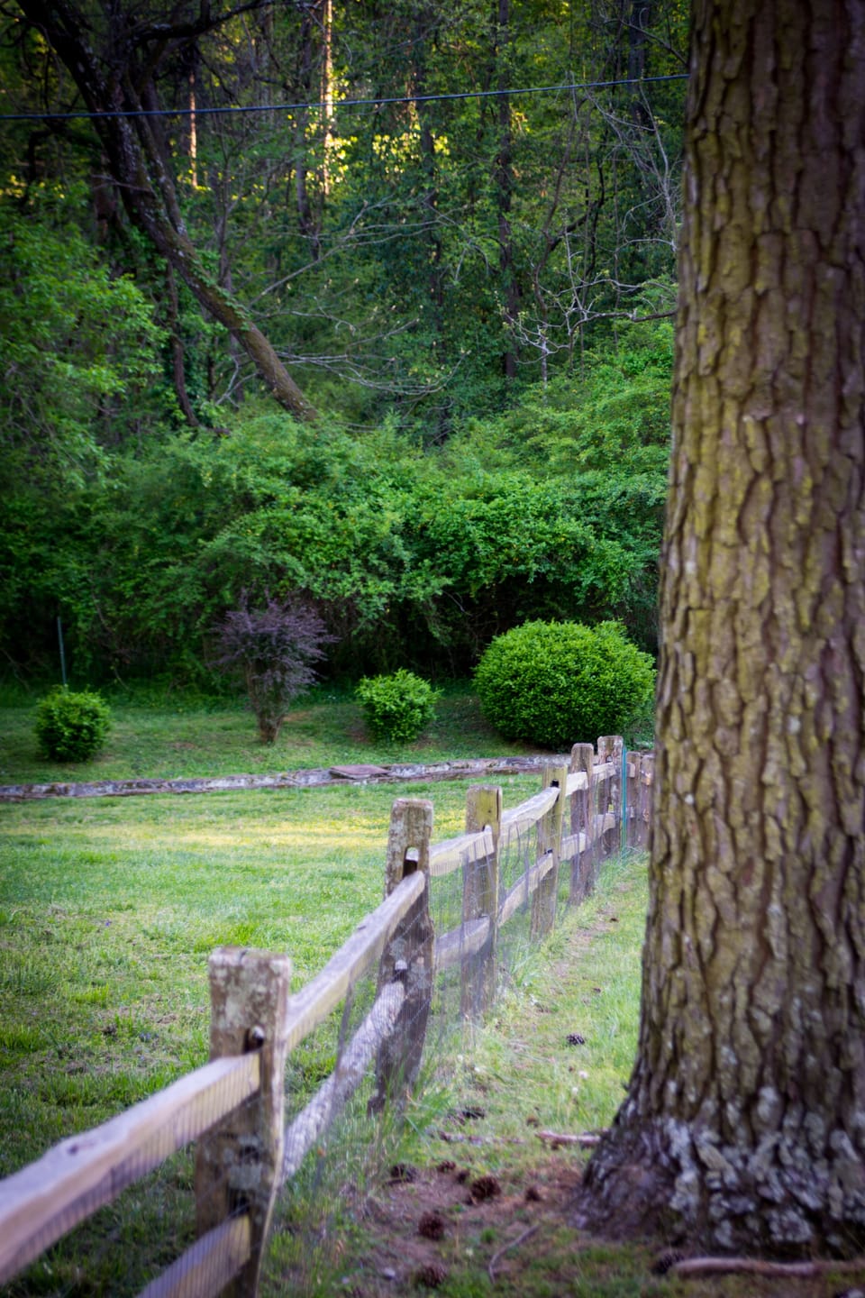 Property grounds