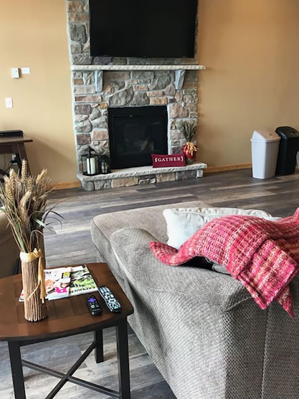 FAMILY ROOM TV AND FIREPLACE