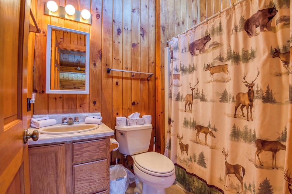 Upper Level Hallway Bathroom