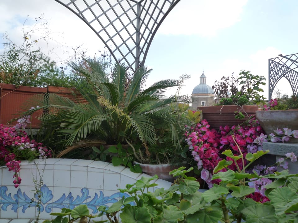 the garden on the terrace