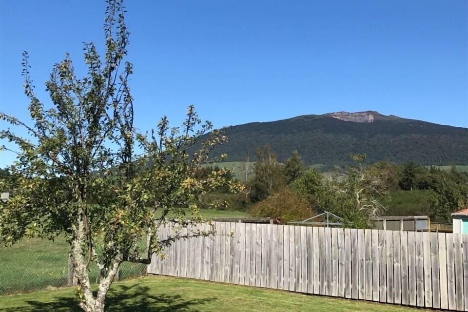 Mt Pihanga View
