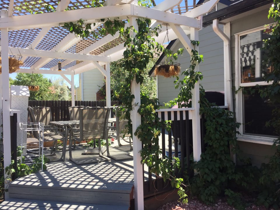 Backyard Patio
