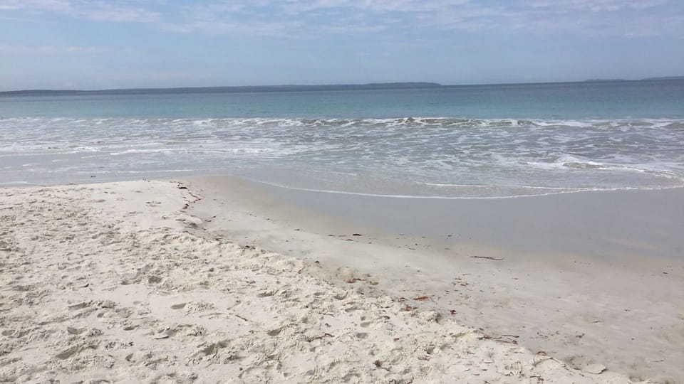 Look out for Dolphins whilst walking along Callala Beach
