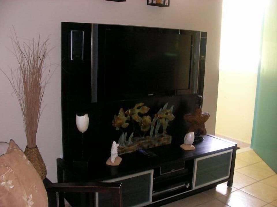 Plasma TV with hometheater, cable, CD player and DVD)