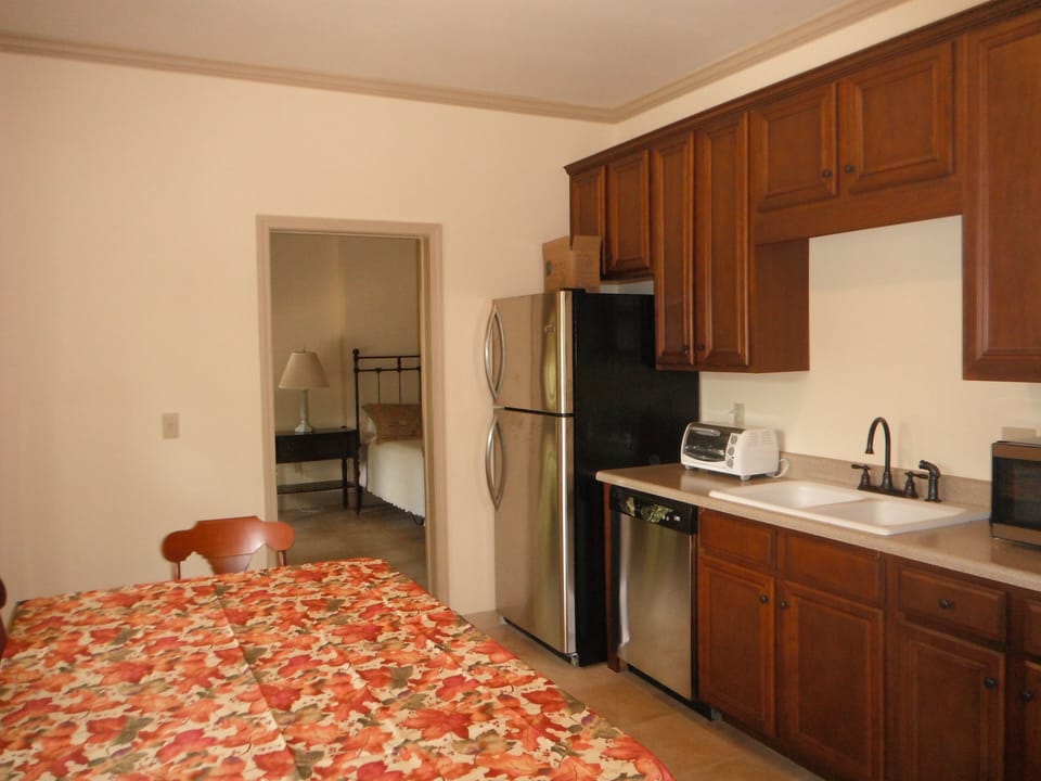 Lower level kitchen
