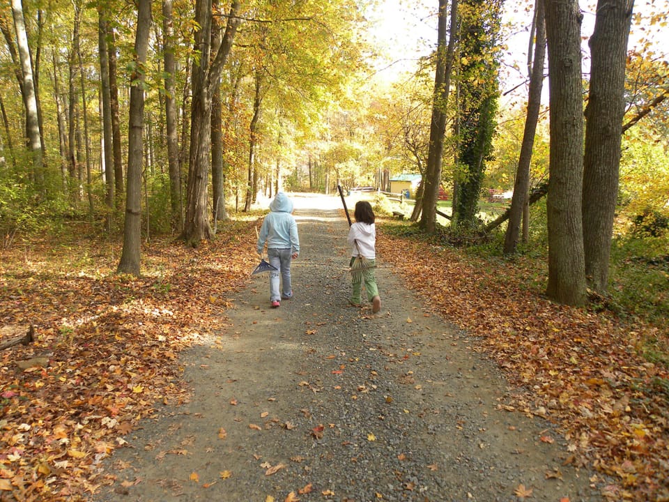 Our lawn crew headed down the lane.