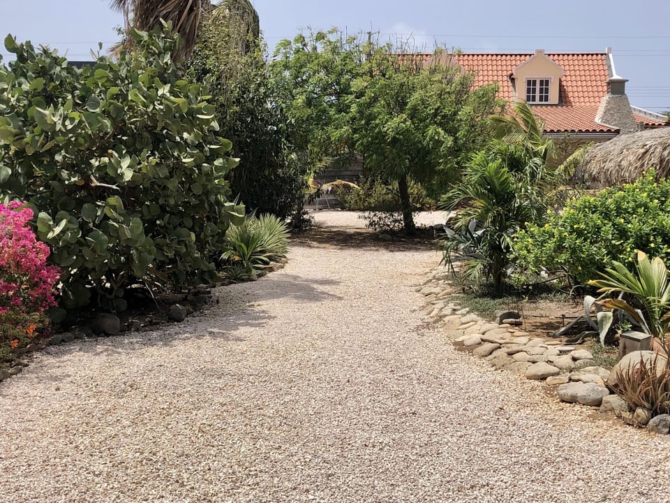 View from the back of the garden to the house