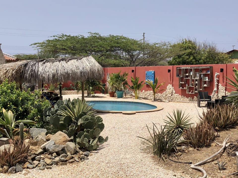 View from the back of the garden to the pool
