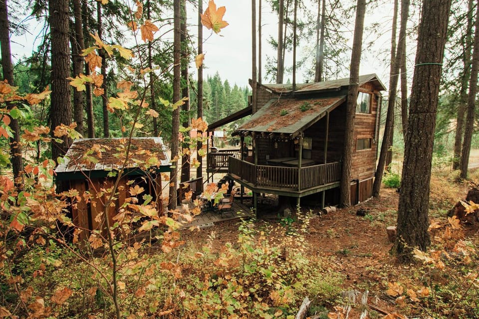 Tree House from Amphitheater North West View