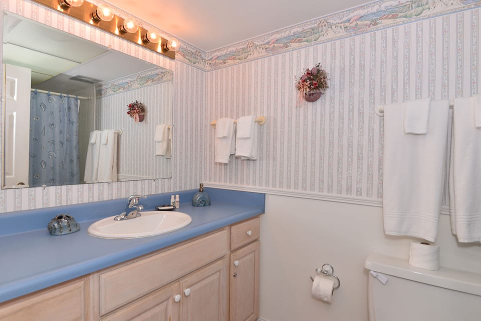 Guest/Childrens Bath w/Single Bowl Sink and Tub/Shower