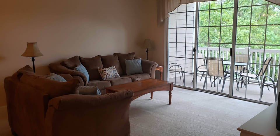 Living Room and patio view