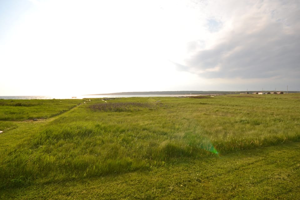 Path to the beach